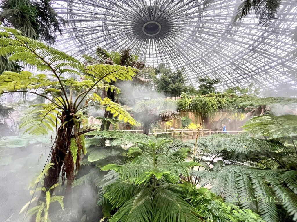 dome equatorial de beauval