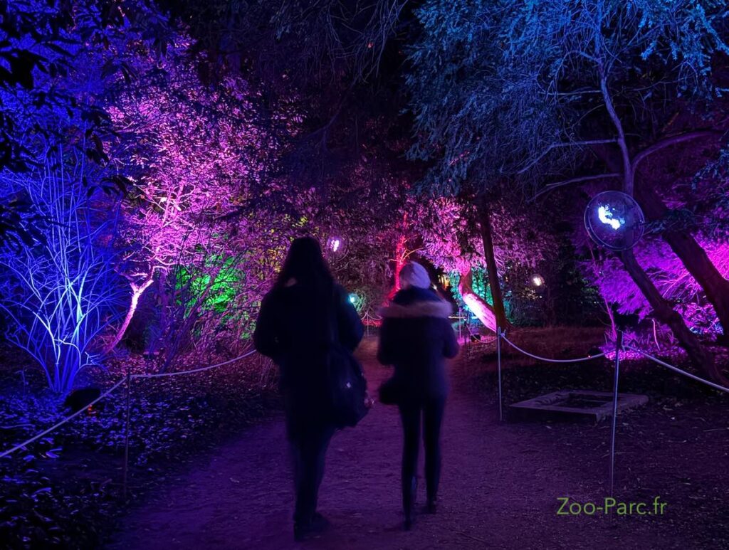 Lumières en Seine au Parc de Saint Cloud : date, prix, réduction, billet